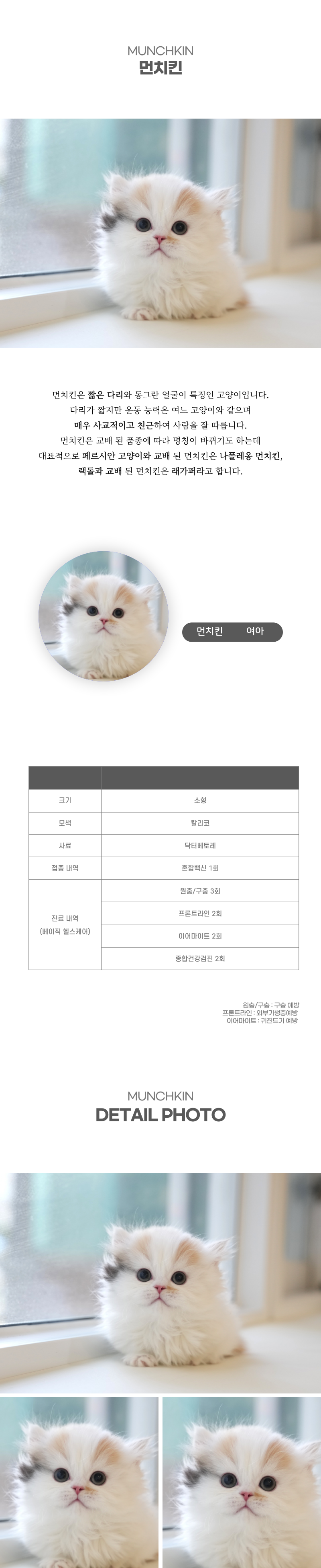 먼치킨_상세이미지_2